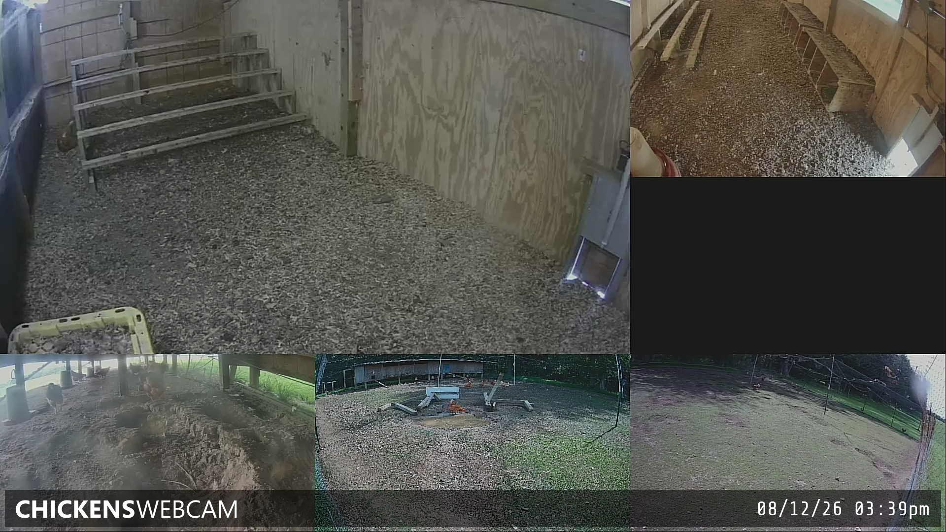 Twitch Stream Preview