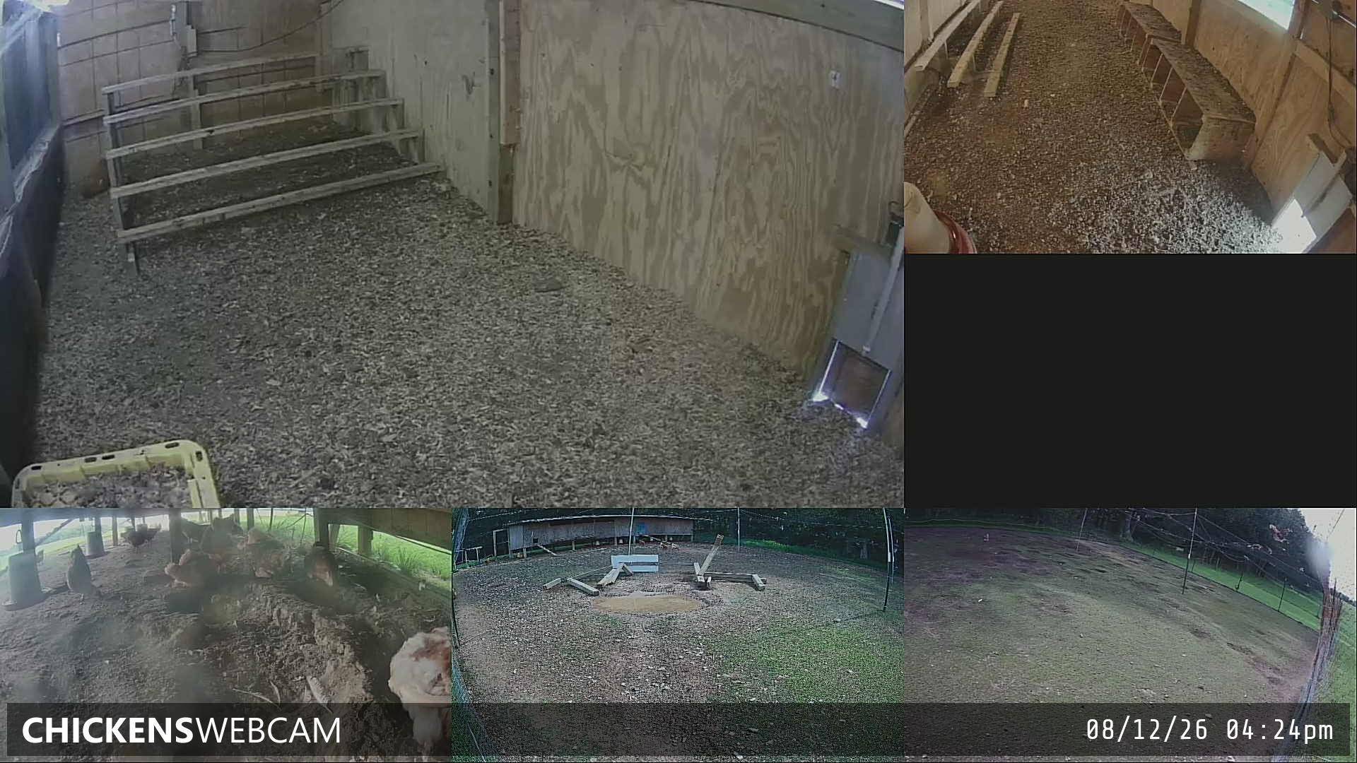 Twitch Stream Preview