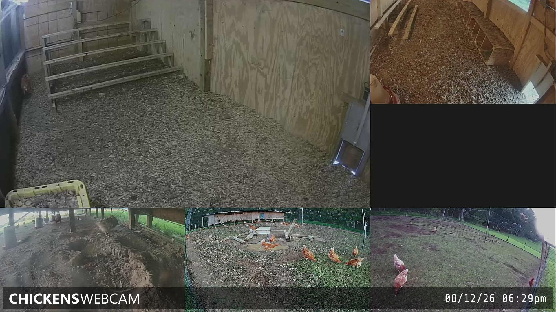 Twitch Stream Preview
