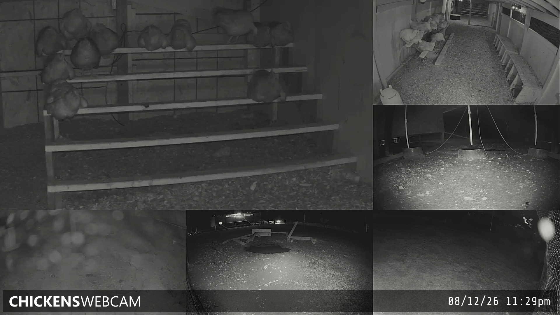 Twitch Stream Preview