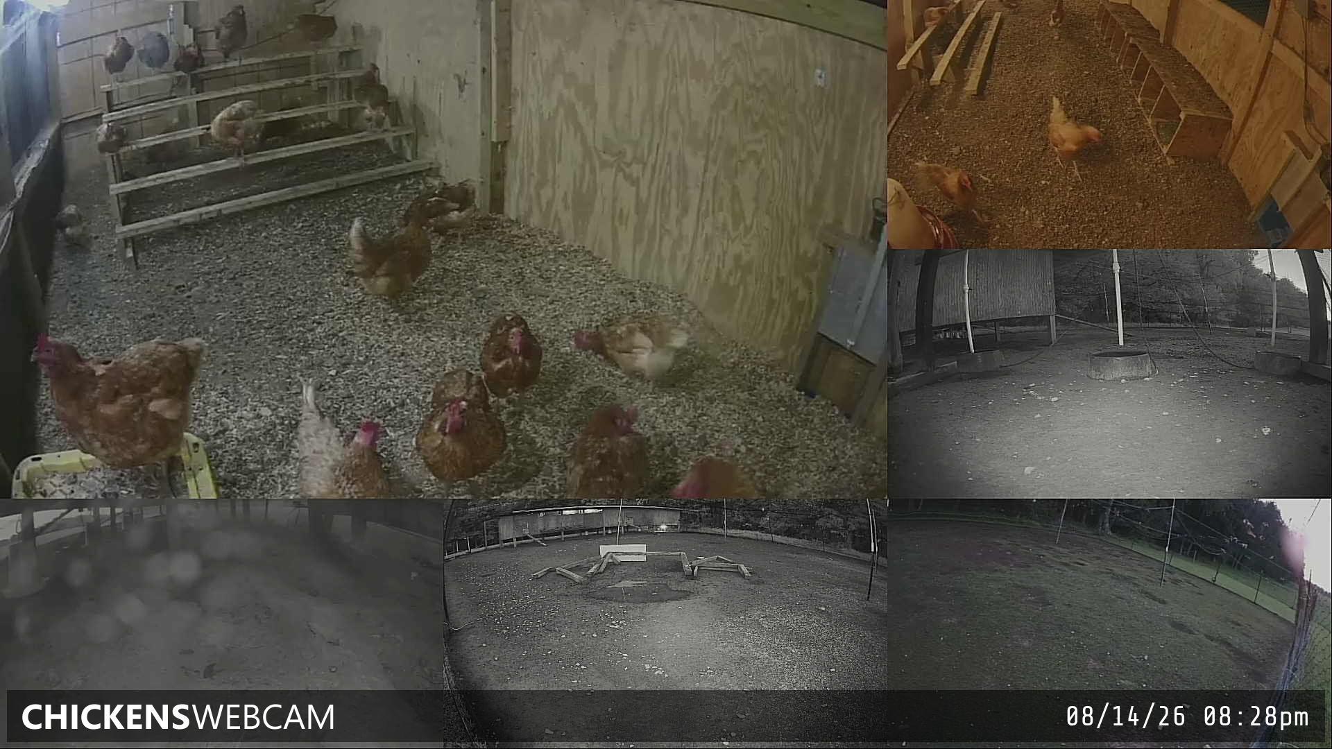 Twitch Stream Preview