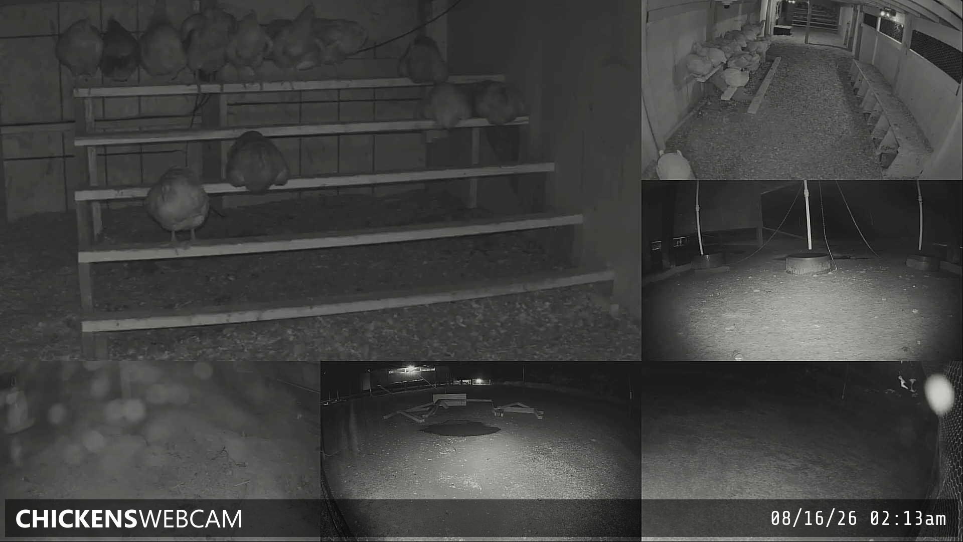 Twitch Stream Preview
