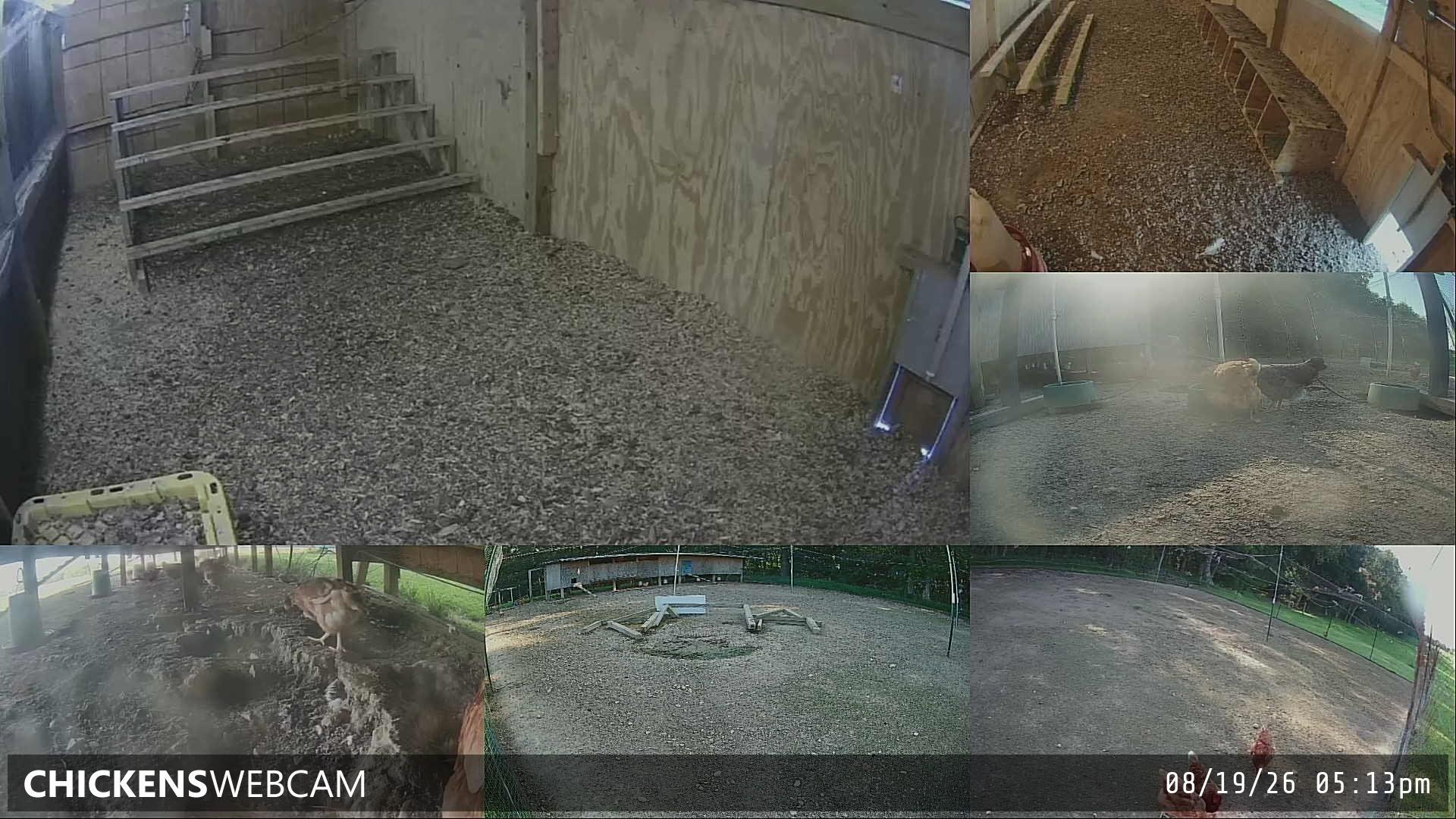 Twitch Stream Preview
