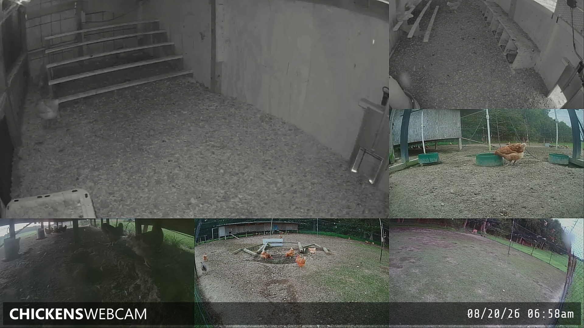 Twitch Stream Preview