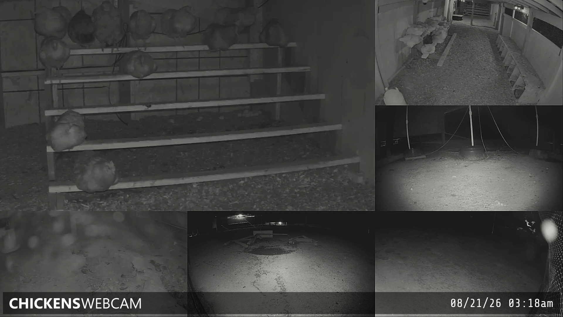 Twitch Stream Preview
