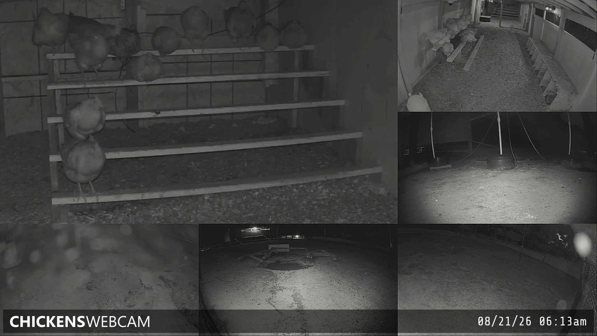 Twitch Stream Preview