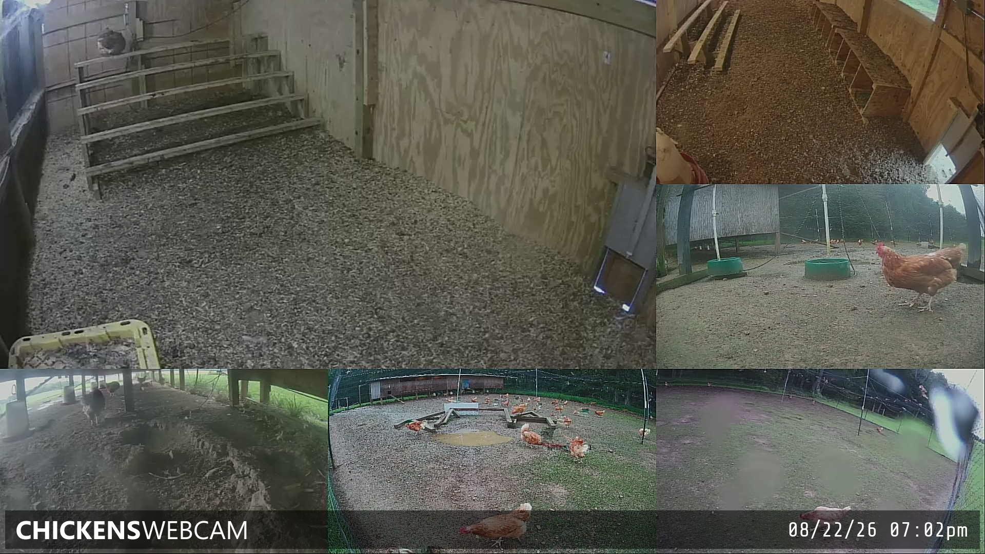 Twitch Stream Preview