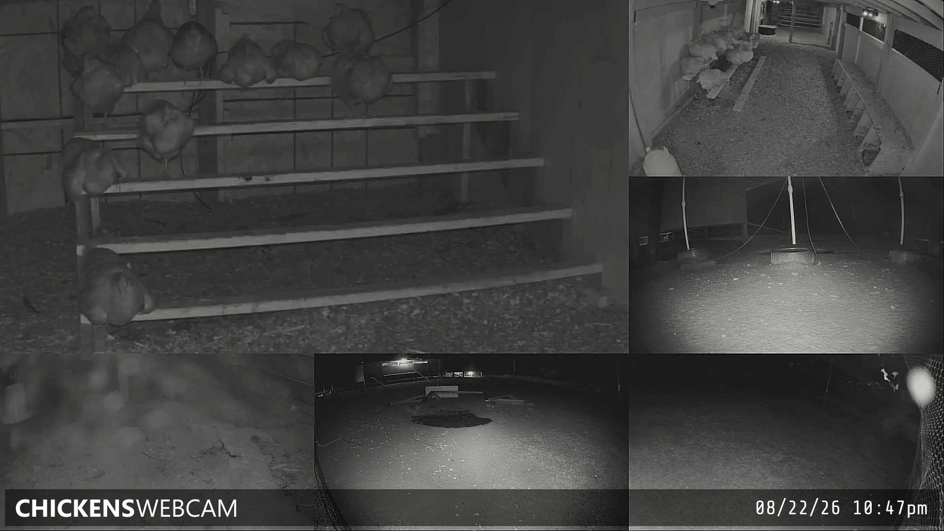 Twitch Stream Preview