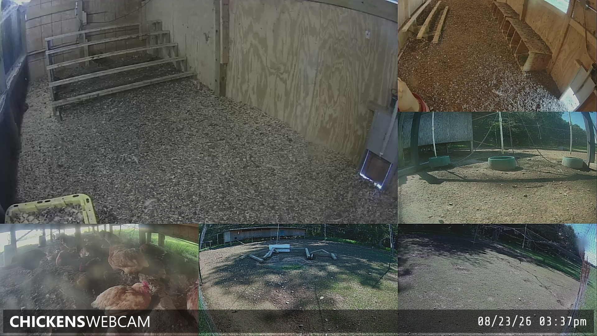 Twitch Stream Preview