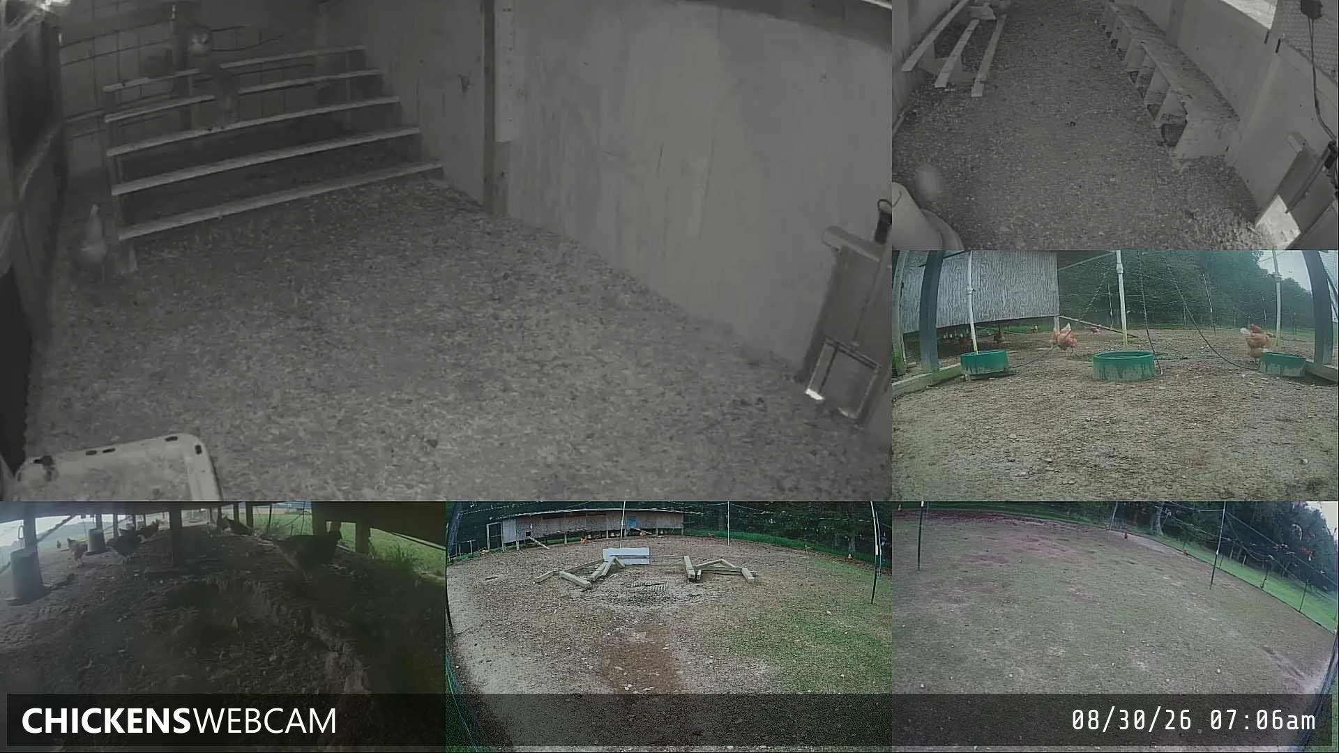 Twitch Stream Preview