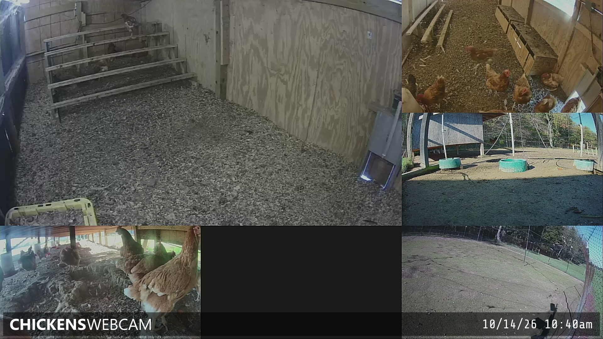 Twitch Stream Preview