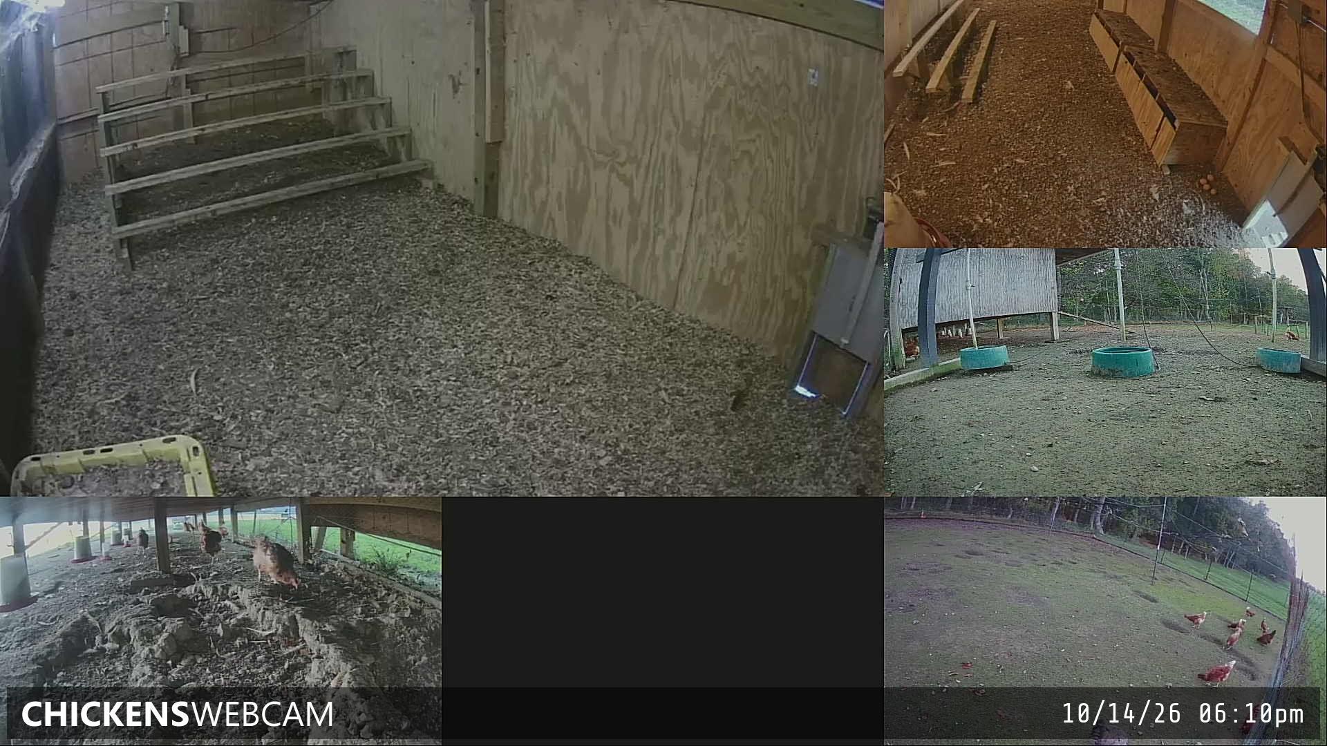 Twitch Stream Preview
