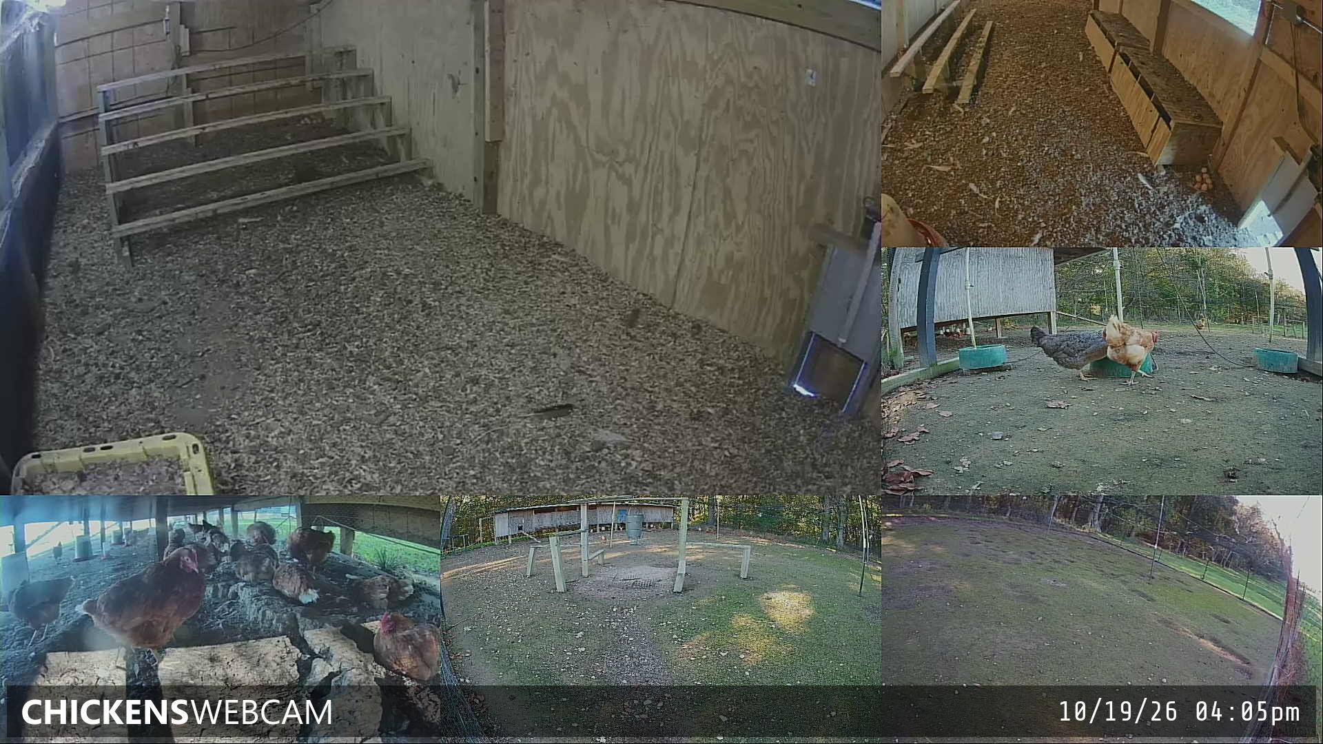 Twitch Stream Preview