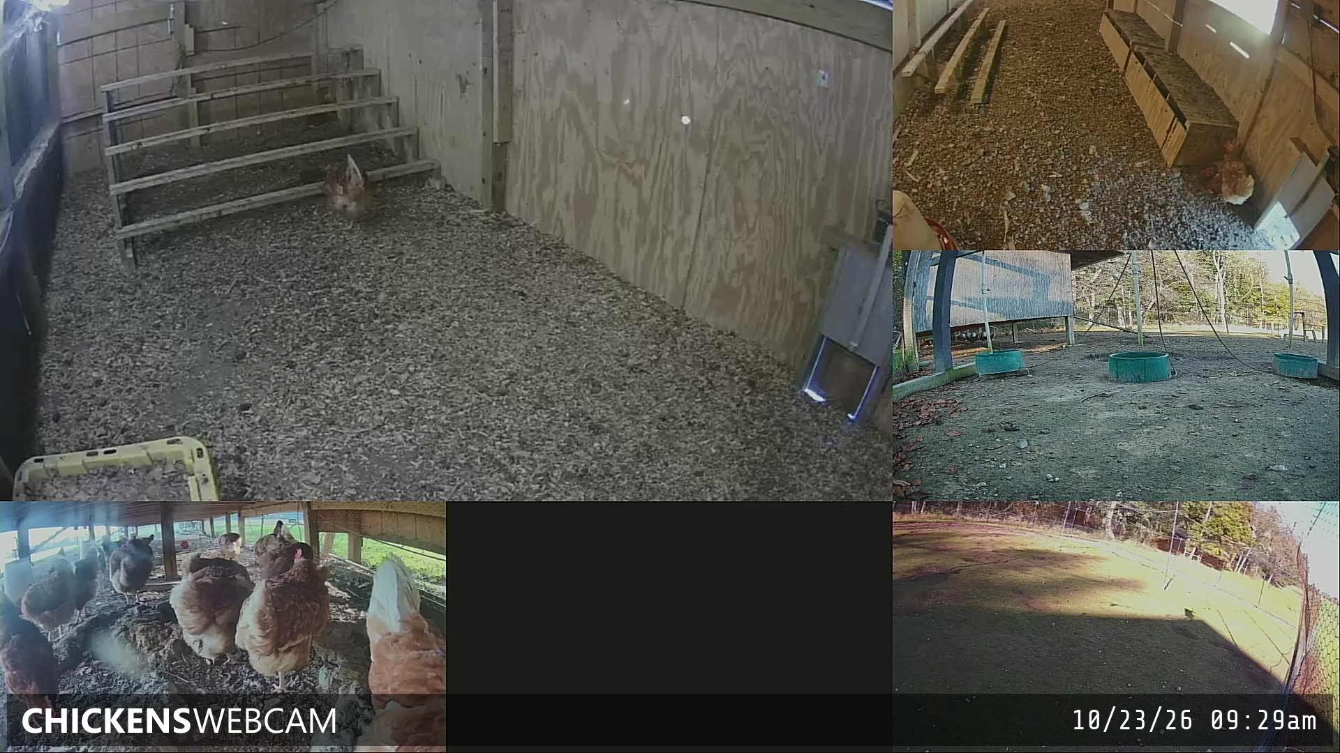Twitch Stream Preview