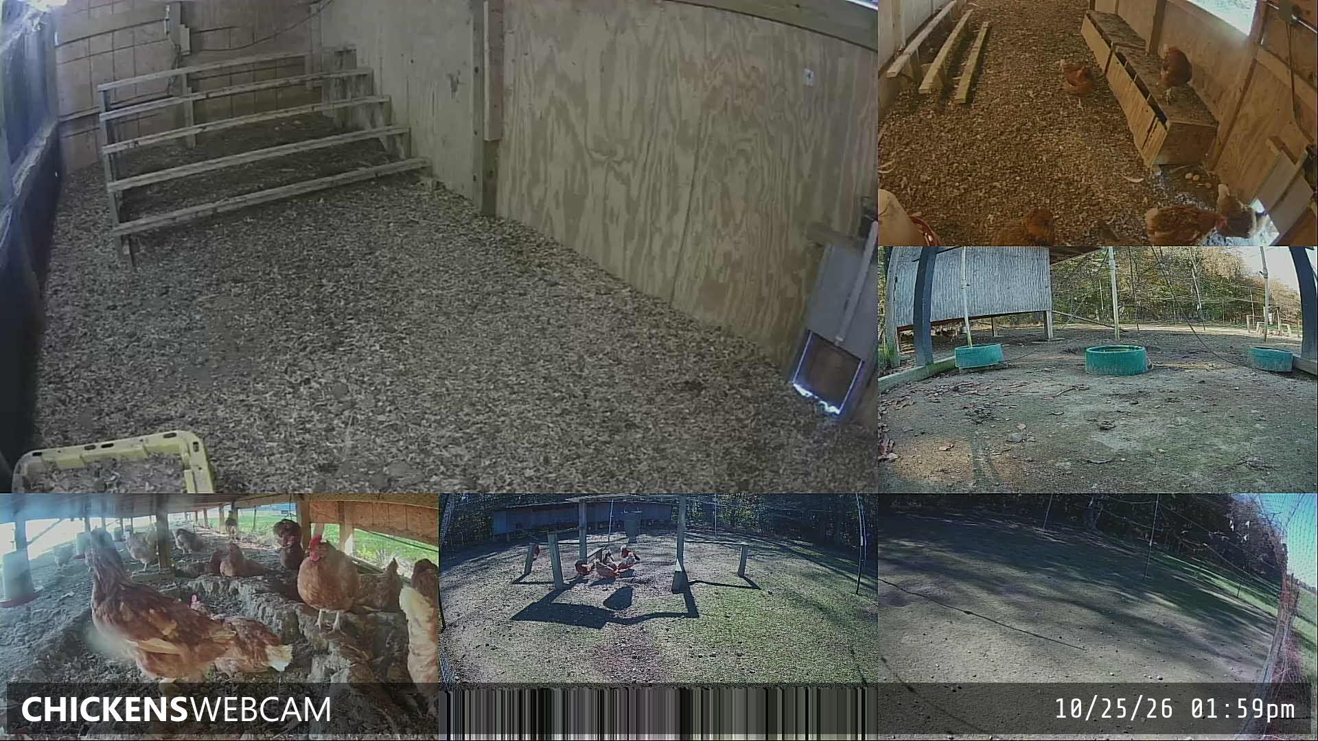 Twitch Stream Preview