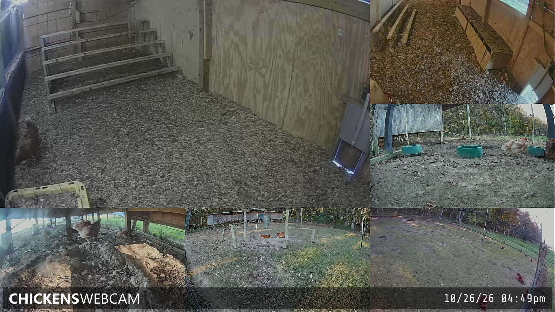 Twitch Stream Preview
