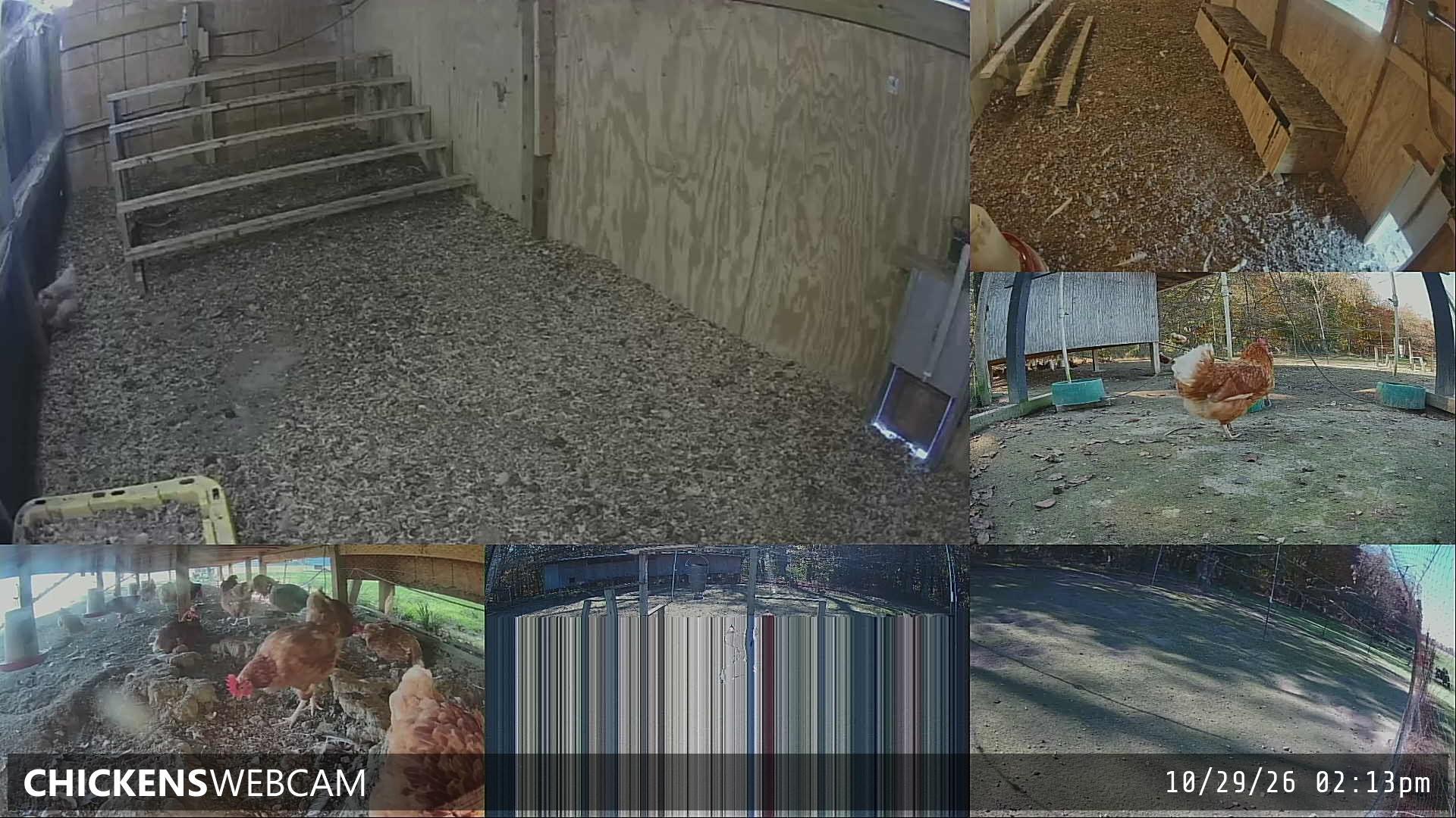 Twitch Stream Preview