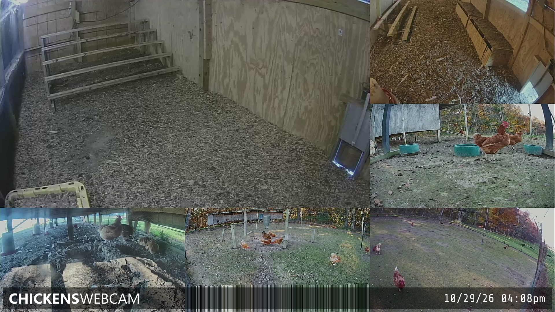 Twitch Stream Preview
