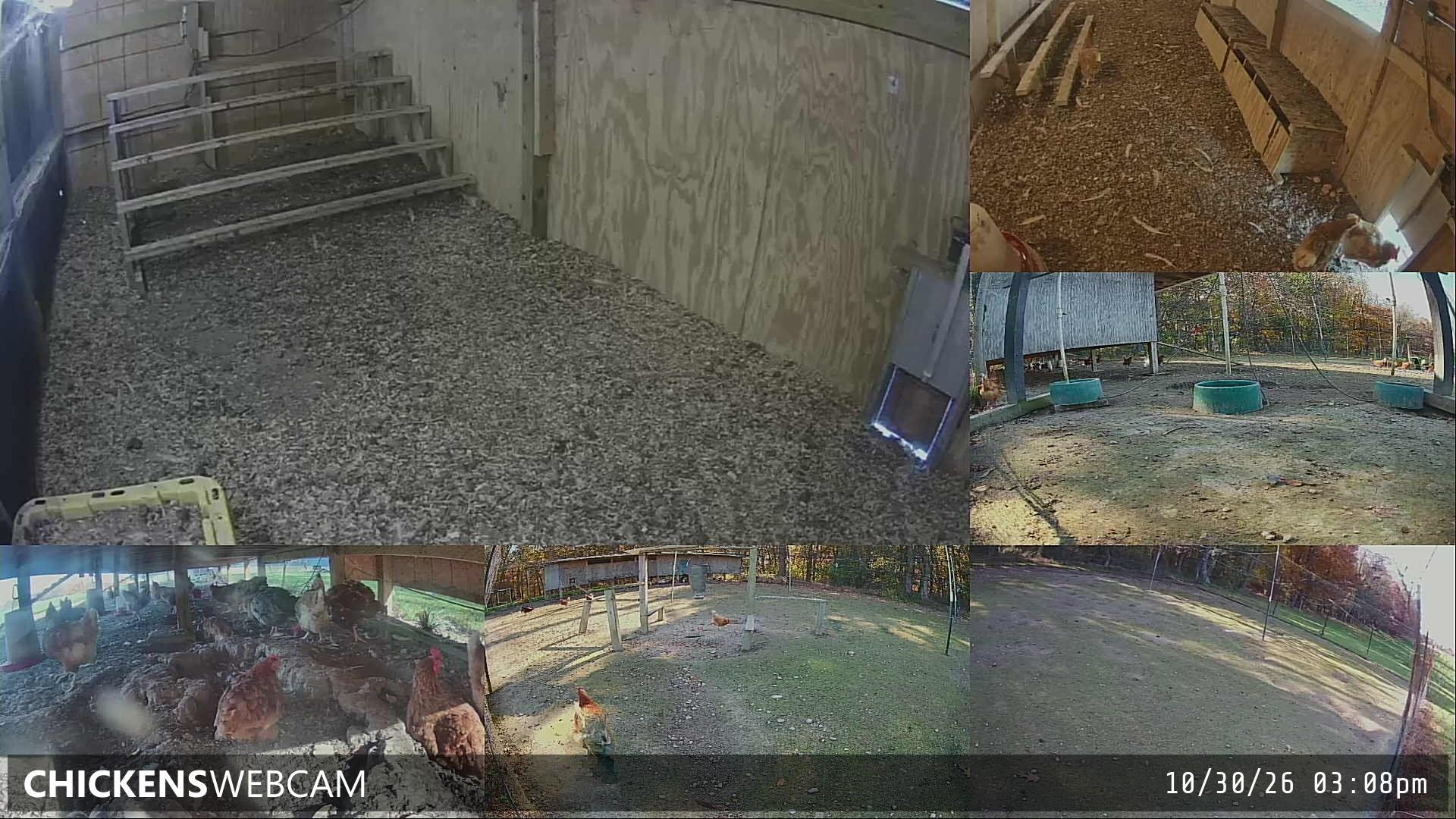 Twitch Stream Preview