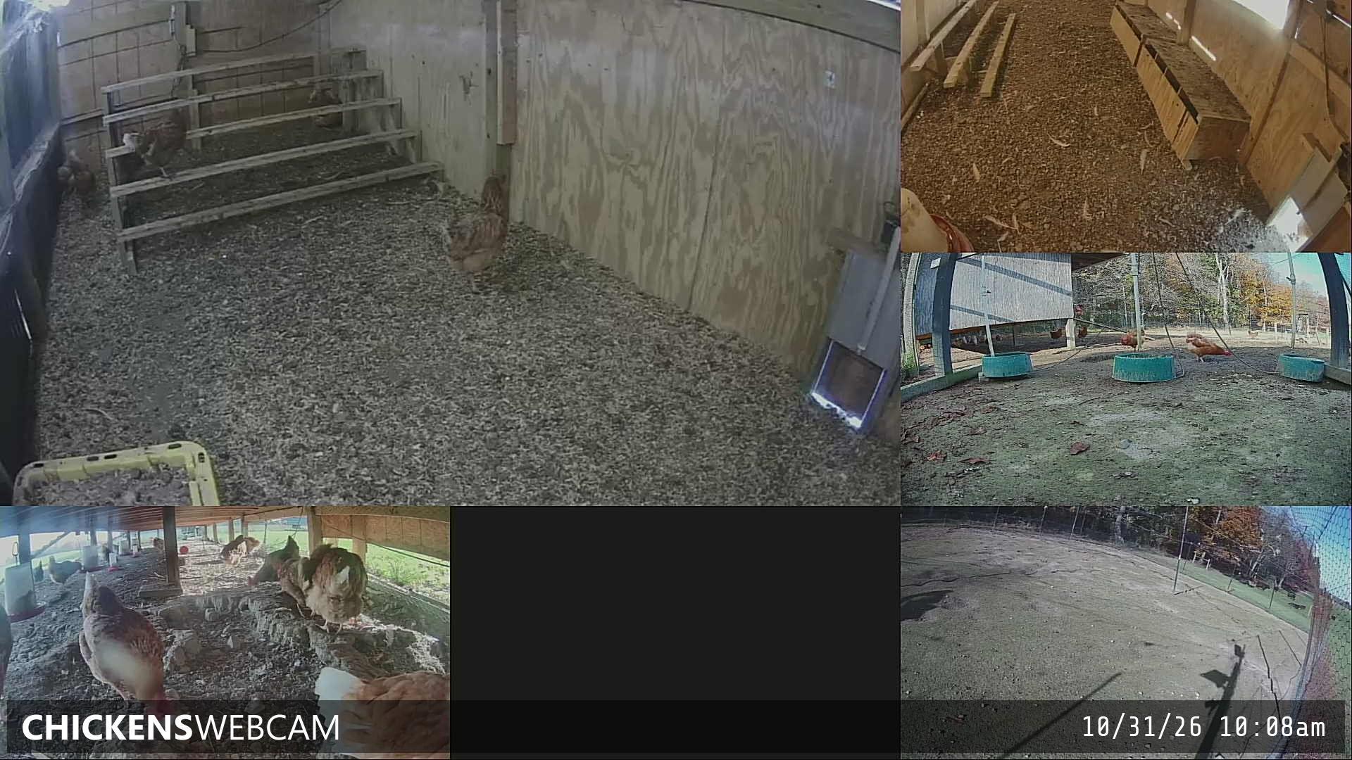 Twitch Stream Preview